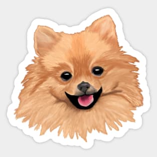 Pomeranian - Black Background Sticker